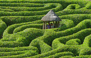 environmental data management can be a maze