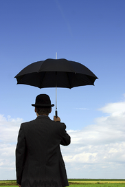 Put your sustainability management under one umbrella
