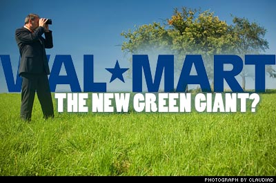walmart sustainability