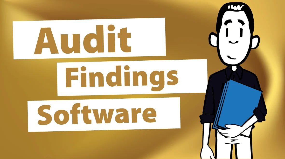 Audit Findings Software-8