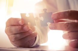 Jigsaw piece.jpg