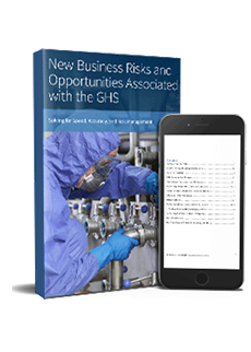 GHS_Executive_Ebook_web