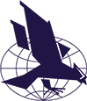 Hawk-logo