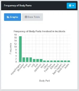 Incident KPI 17