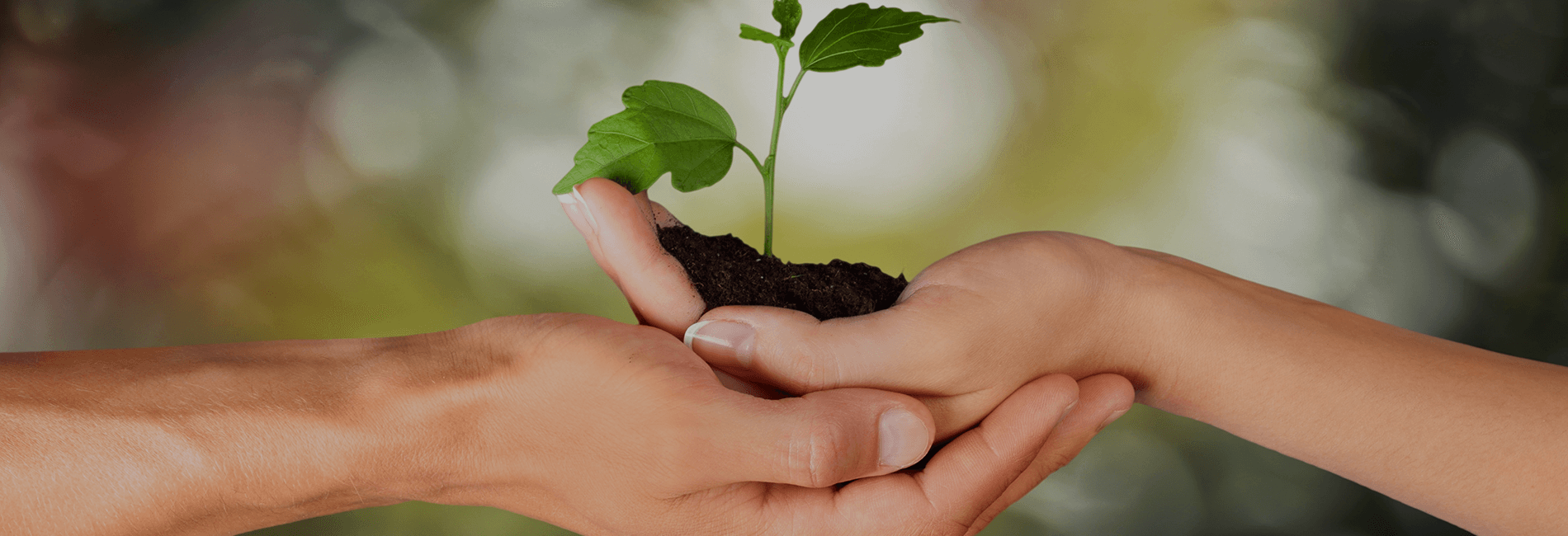 era-environmental-environmental-resources.png