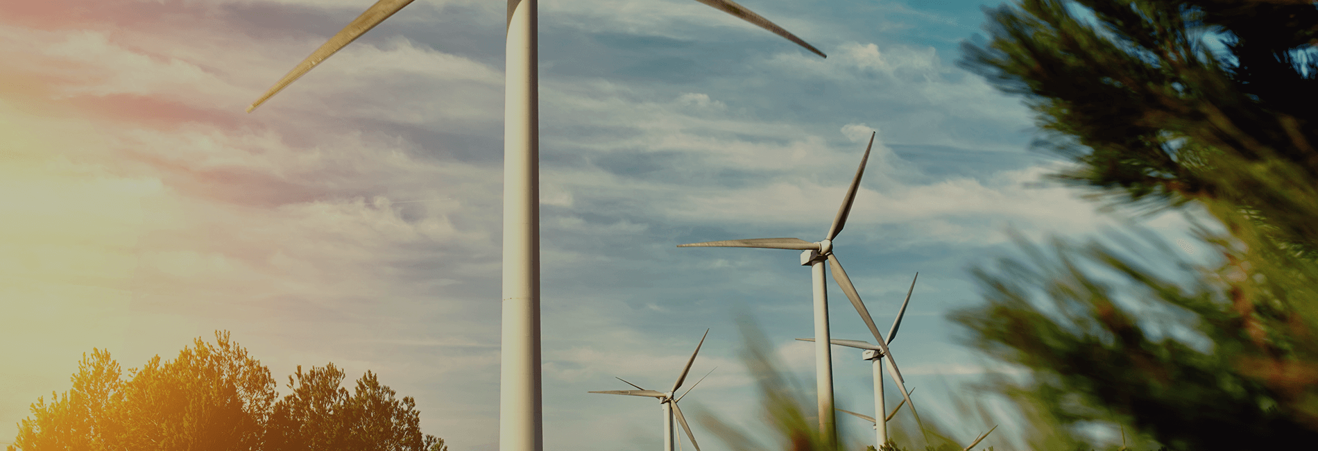 era-environmental-sustainability-resources.png
