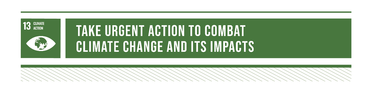 Working from home supports SDG 13