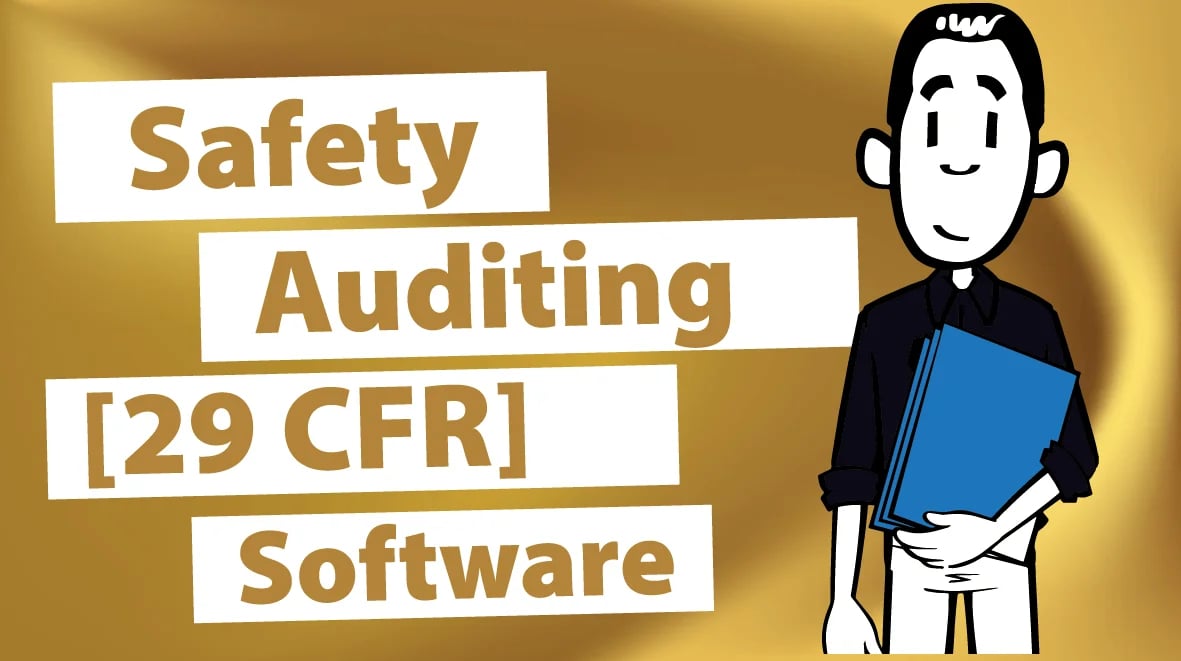 Safety Auditing [29 CFR] Software-8