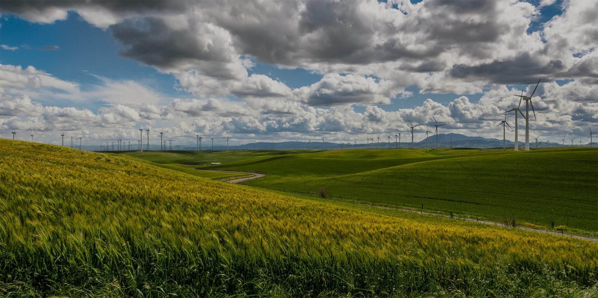 managing-energy-tracking-utilities-sustainability-ERA-Environmental