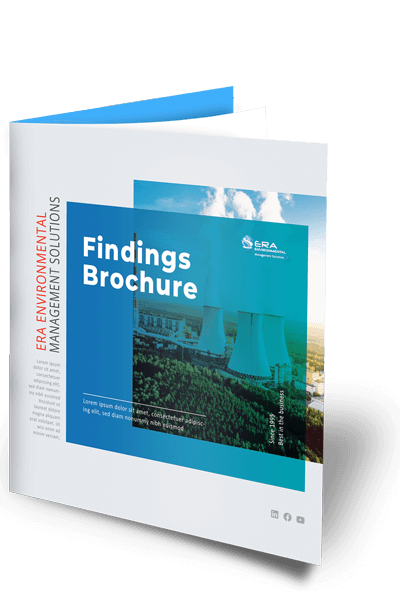brochure-mock-up-findings